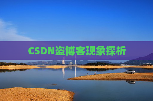 CSDN盗博客现象探析 CSDN盗博客现象探析